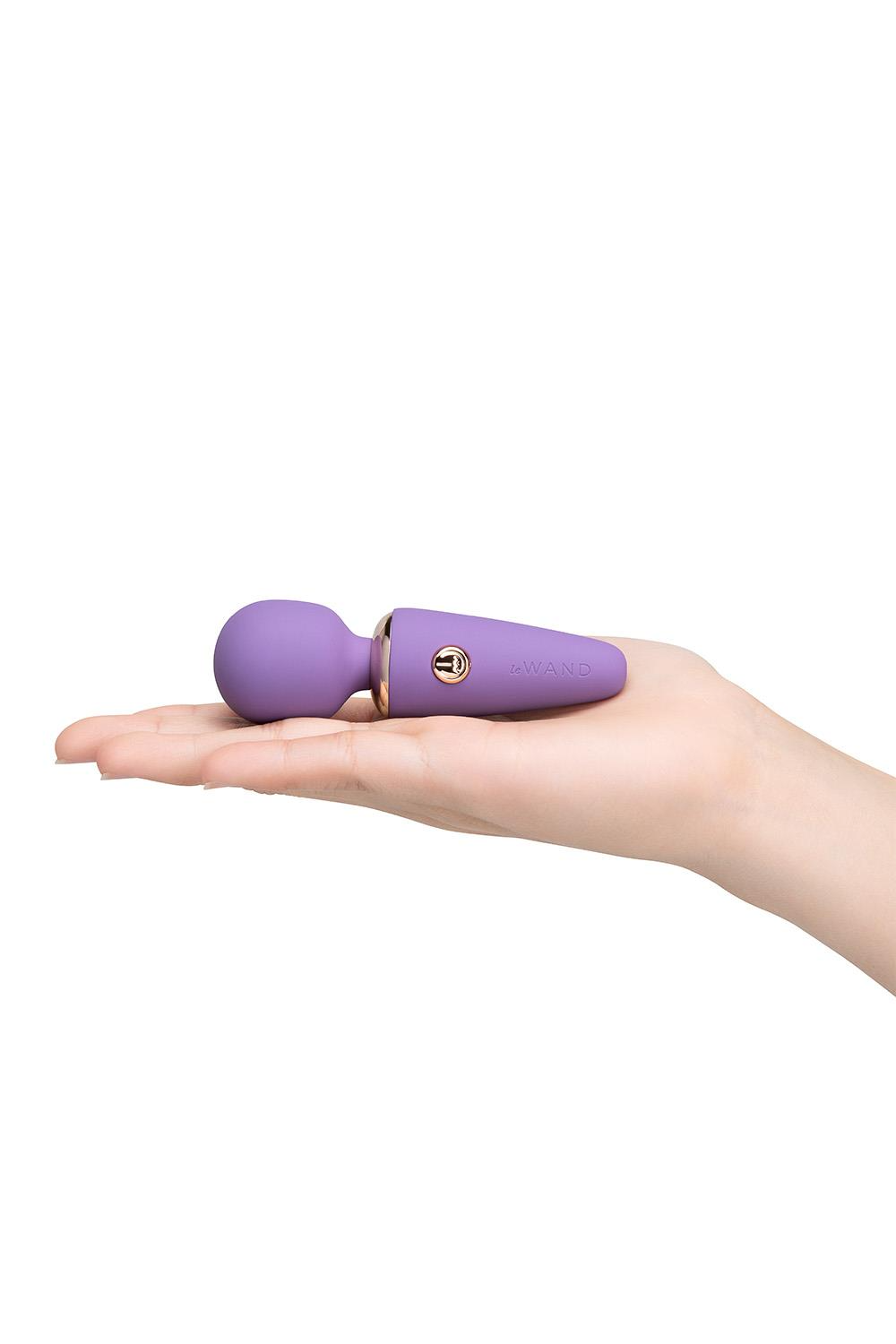 LE WAND MINI MICRO WAND VIOLET